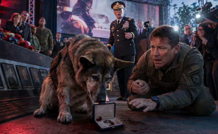 The Old Military Dog Who Exposed the General in Front of Everyone The Old Military Dog Who Exposed the General in Front of Everyone